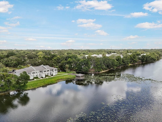 4130 Dolphin Dr, Tampa, FL 33617 - photo 19