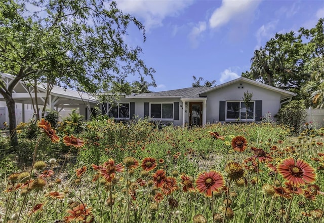 4206 W Palmira Ave, Tampa, FL 33629 - photo 1
