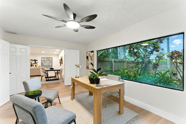 2272 Adam Ct, Palm Harbor, FL 34683 - living room with ceiling fan and light wood finished floors