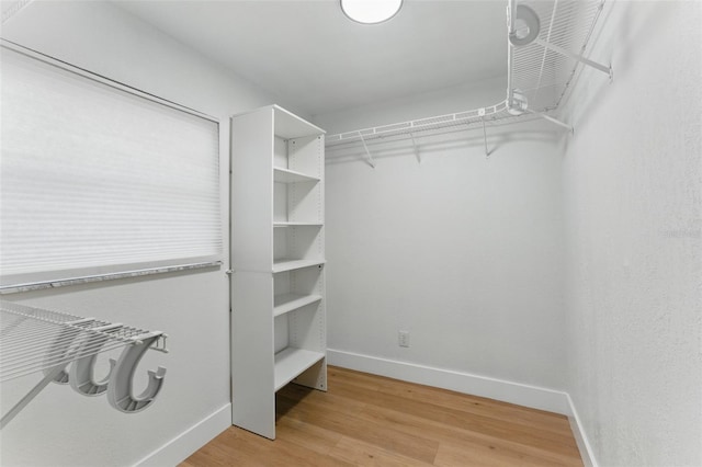 2272 Adam Ct, Palm Harbor, FL 34683 - walk in closet featuring light wood finished floors