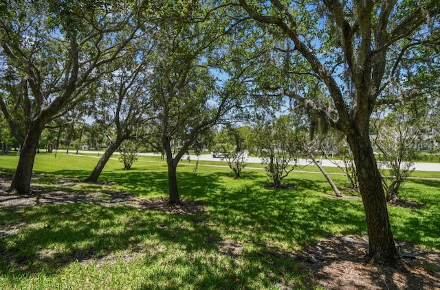 12472 Country White Cir, Tampa, FL 33635 - photo 40