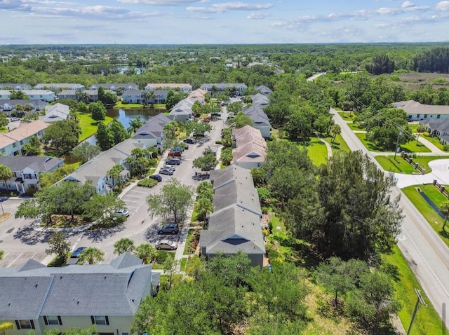 12472 Country White Cir, Tampa, FL 33635 - photo 46