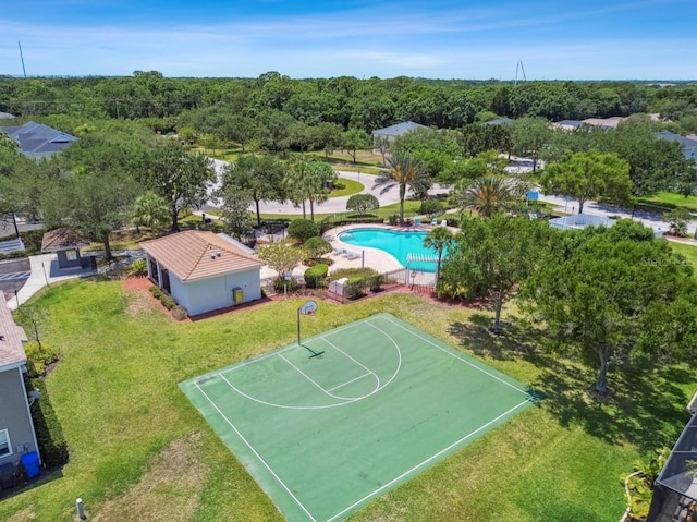 12472 Country White Cir, Tampa, FL 33635 - photo 49