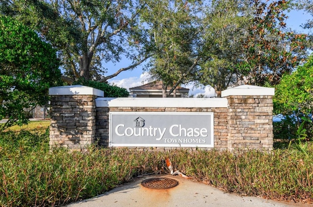 12472 Country White Cir, Tampa, FL 33635 - photo 55