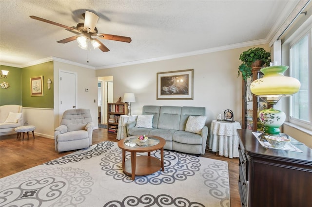8447 Orleans N, Pinellas Park, FL 33781 - photo 5