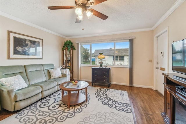 8447 Orleans N, Pinellas Park, FL 33781 - photo 6