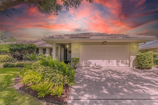 8515 Macoma Dr NE, Saint Petersburg, FL 33702 - photo 1