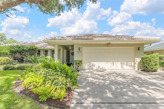 8515 Macoma Dr NE, Saint Petersburg, FL 33702 - photo 29