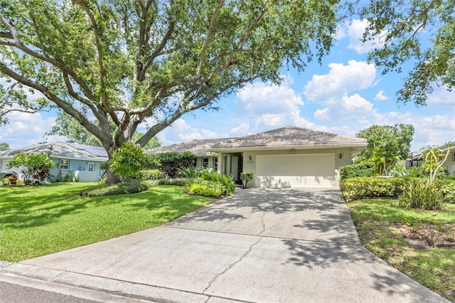 8515 Macoma Dr NE, Saint Petersburg, FL 33702 - photo 2