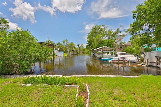 301 Carlyle Blvd, Ruskin, FL 33570 - dock area with a water view and boat lift