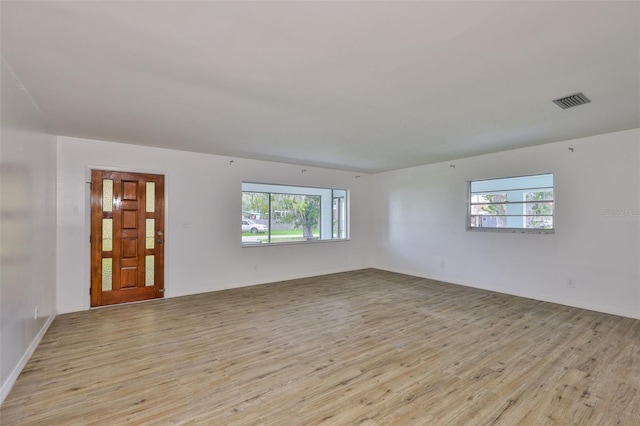 301 Carlyle Blvd, Ruskin, FL 33570 - spare room featuring light wood-type flooring and plenty of natural light