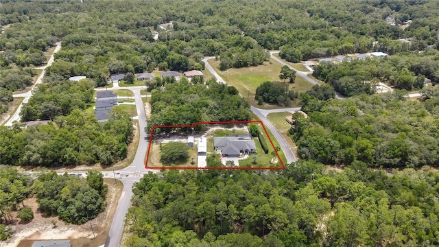 10721 N Ocean Dr, Dunnellon, FL 34434 - view of property location featuring property parcel outlined