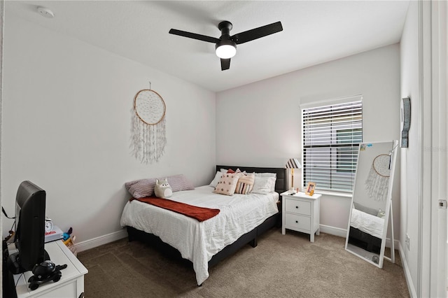 12643 Shetland Walk Dr, Lithia, FL 33547 - photo 14