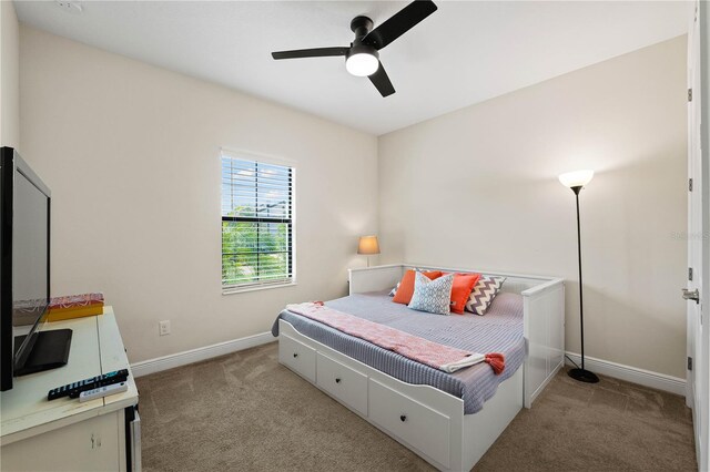 12643 Shetland Walk Dr, Lithia, FL 33547 - photo 17