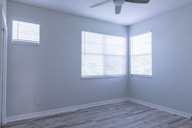 19232 Stone Hedge Dr, Tampa, FL 33647 - photo 39