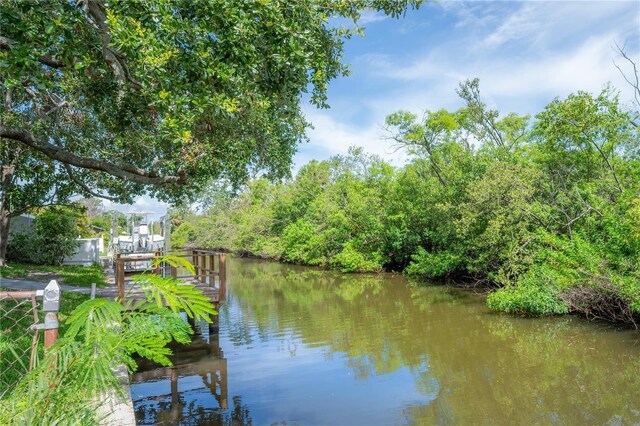 8701 Driftwood Dr, Tampa, FL 33615 - photo 46