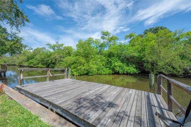 8701 Driftwood Dr, Tampa, FL 33615 - photo 48