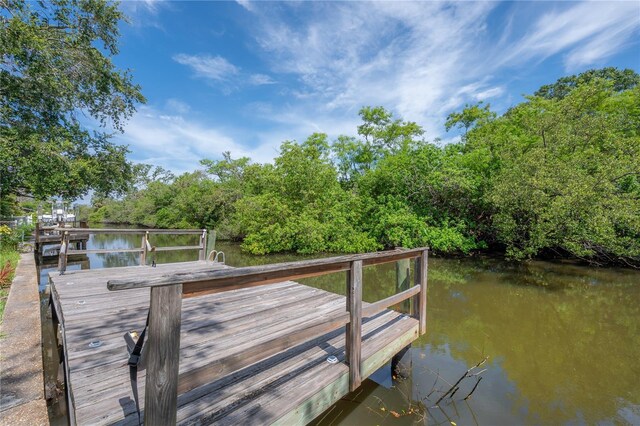 8701 Driftwood Dr, Tampa, FL 33615 - photo 51