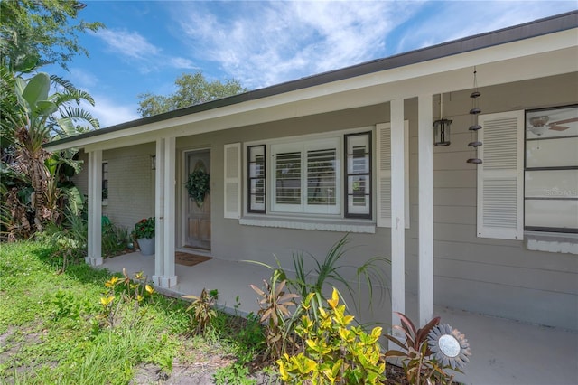 8701 Driftwood Dr, Tampa, FL 33615 - photo 3