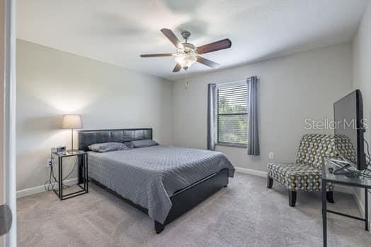 28504 Tranquil Lake Cir, Wesley Chapel, FL 33543 - carpeted bedroom with baseboards and a ceiling fan