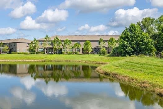 28504 Tranquil Lake Cir, Wesley Chapel, FL 33543 - water view