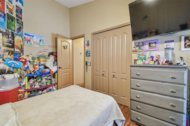 31244 Baclan Dr, Wesley Chapel, FL 33545 - bedroom with a closet and wood finished floors
