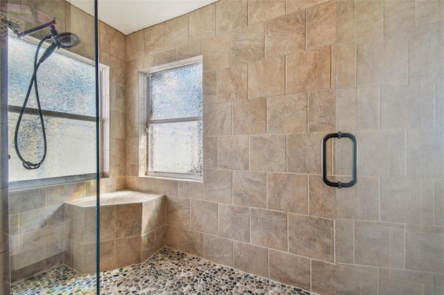 31244 Baclan Dr, Wesley Chapel, FL 33545 - full bathroom with a stall shower and healthy amount of natural light