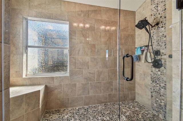 31244 Baclan Dr, Wesley Chapel, FL 33545 - full bath featuring a tile shower and plenty of natural light