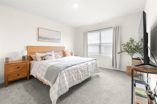 9098 Forge Breeze Loop, Wesley Chapel, FL 33545 - bedroom with carpet floors and baseboards