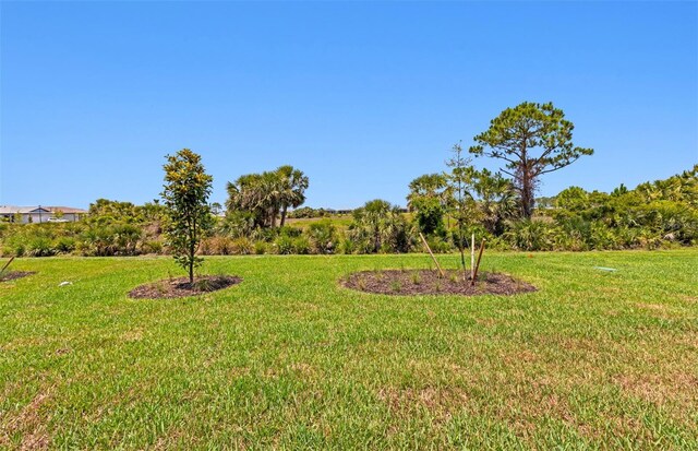 6133 Wire Grass Ct, Nokomis, FL 34275 - view of green lawn