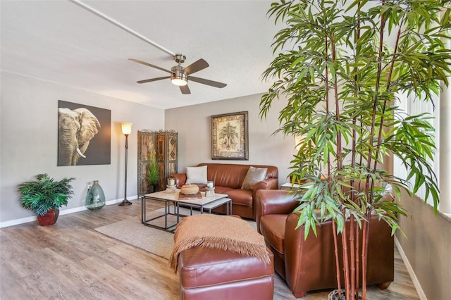 8080 112th St Unit 108, Seminole, FL 33772 - living area featuring a ceiling fan and wood finished floors