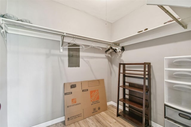 8080 112th St Unit 108, Seminole, FL 33772 - walk in closet with electric panel and wood finished floors