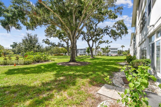 8080 112th St Unit 108, Seminole, FL 33772 - view of grassy yard