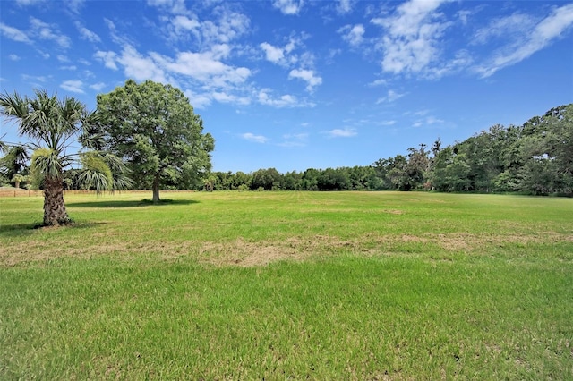 937 Old Welcome Rd, Lithia, FL 33547 - view of green lawn