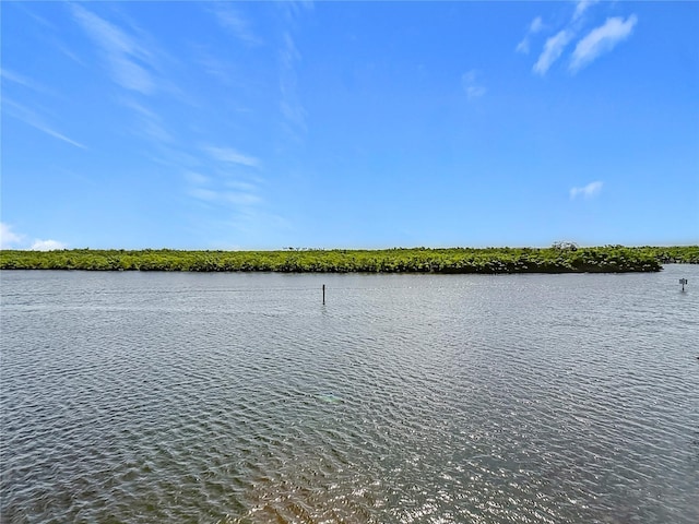 809 Bahia Del Sol Dr Unit 72, Ruskin, FL 33570 - water view