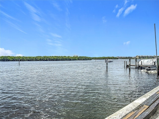 809 Bahia Del Sol Dr Unit 72, Ruskin, FL 33570 - dock area with a water view