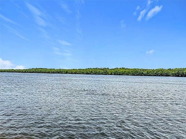 809 Bahia Del Sol Dr Unit 72, Ruskin, FL 33570 - water view