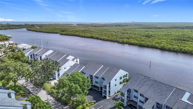 809 Bahia Del Sol Dr Unit 72, Ruskin, FL 33570 - drone / aerial view of a large body of water and a forest