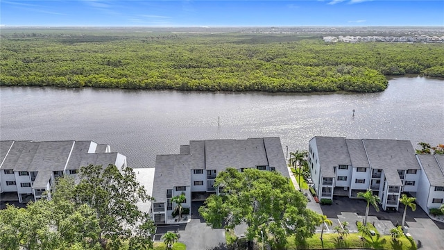 809 Bahia Del Sol Dr Unit 72, Ruskin, FL 33570 - bird's eye view of a large body of water and a heavily wooded area