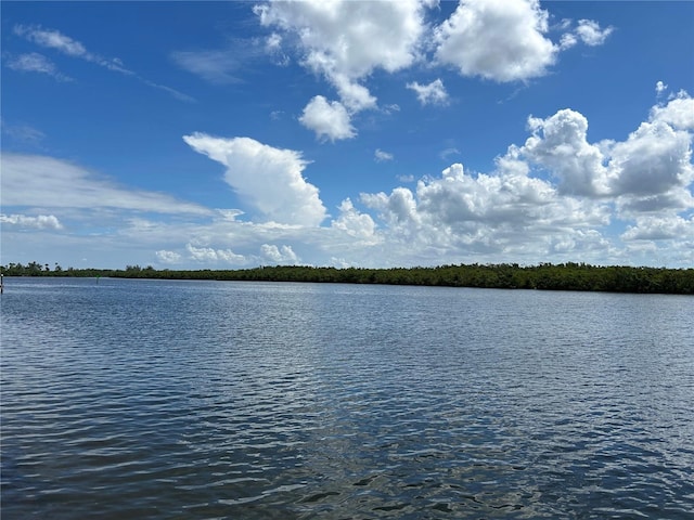 809 Bahia Del Sol Dr Unit 72, Ruskin, FL 33570 - water view