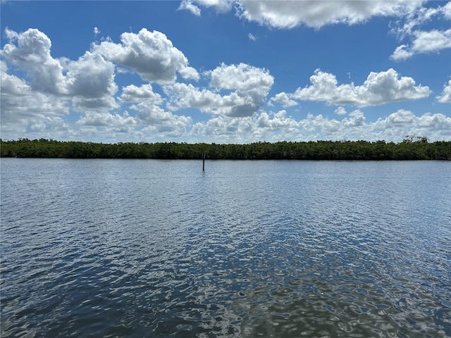 809 Bahia Del Sol Dr Unit 72, Ruskin, FL 33570 - water view