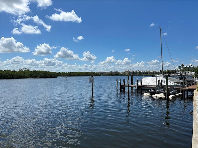 809 Bahia Del Sol Dr Unit 72, Ruskin, FL 33570 - dock with a water view