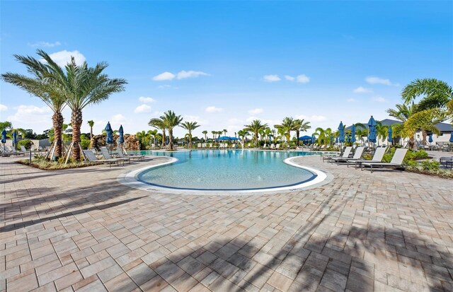 14317 Eagle Branch Dr, Nokomis, FL 34275 - community pool featuring a patio