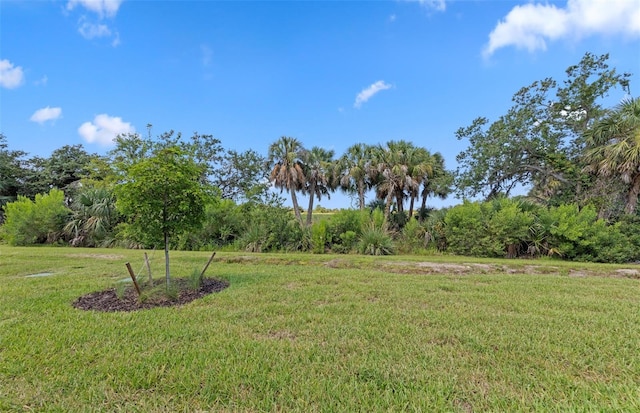14317 Eagle Branch Dr, Nokomis, FL 34275 - photo 31
