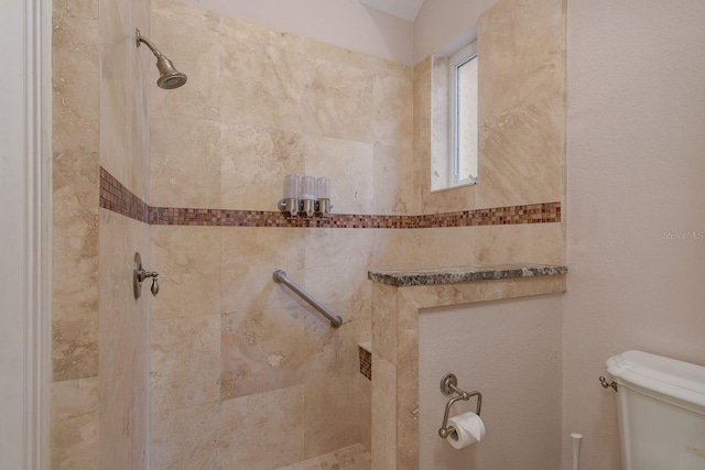 11430 Trotting Down Dr, Odessa, FL 33556 - full bath with a tile shower