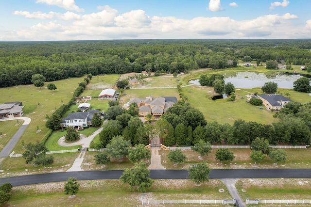 11430 Trotting Down Dr, Odessa, FL 33556 - view of property location with a heavily wooded area and a large body of water