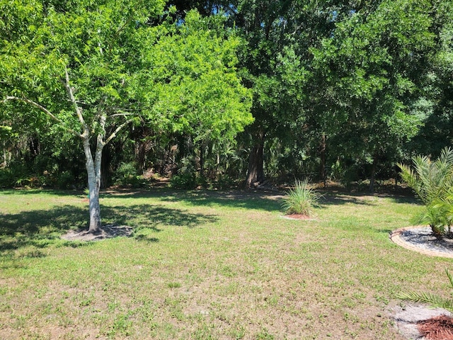 18434 Eastwyck Dr, Tampa, FL 33647 - photo 51
