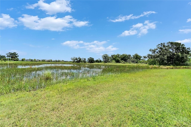 5971 Hidden Branch Dr, Apollo Beach, FL 33572 - water view