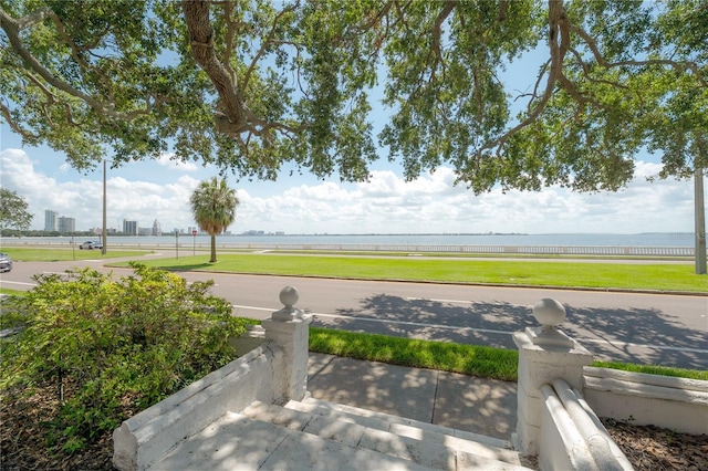 3325 Bayshore Blvd Unit A17, Tampa, FL 33629 - view of green lawn