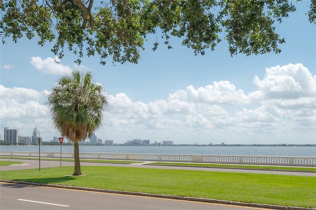 3325 Bayshore Blvd Unit A17, Tampa, FL 33629 - water view featuring skyline
